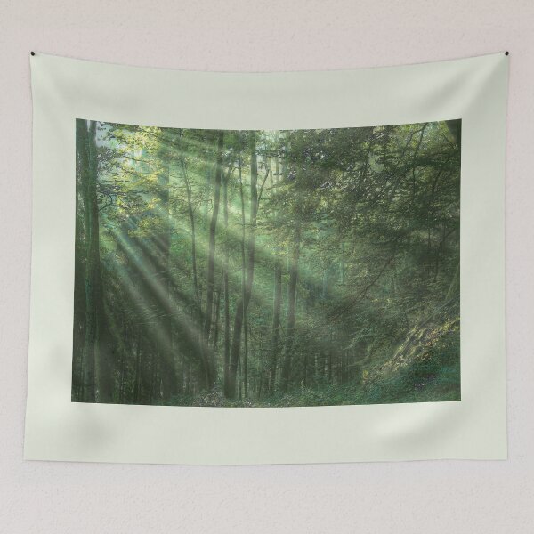 Item preview, Forest path designed and sold by fotoromantik.