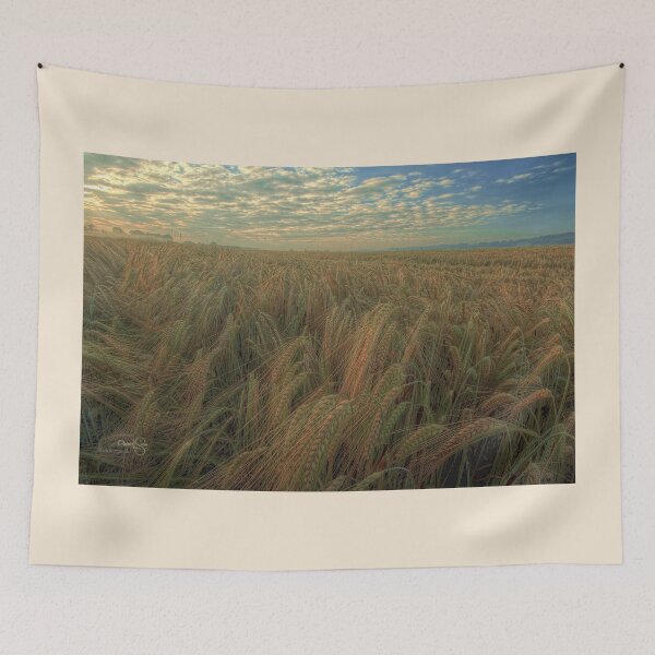 Item preview, Barley field designed and sold by fotoromantik.