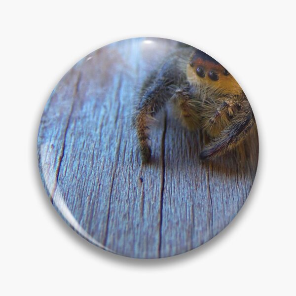 Item preview, Regal Jumping Spider designed and sold by MercerImages.