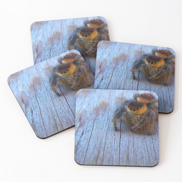 Item preview, Regal Jumping Spider designed and sold by MercerImages.