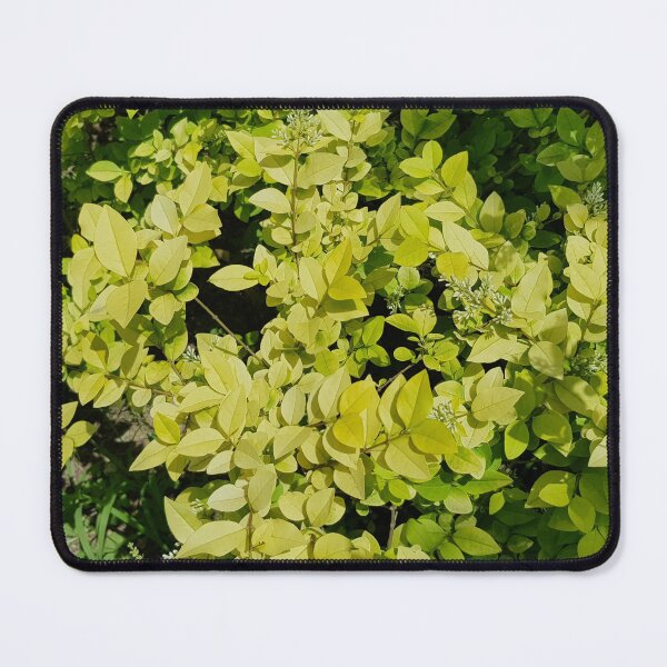 Item preview, green leaves designed and sold by yunee.