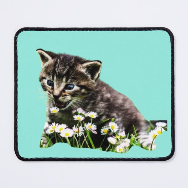 Item preview, Cat baby designed and sold by Sale75.
