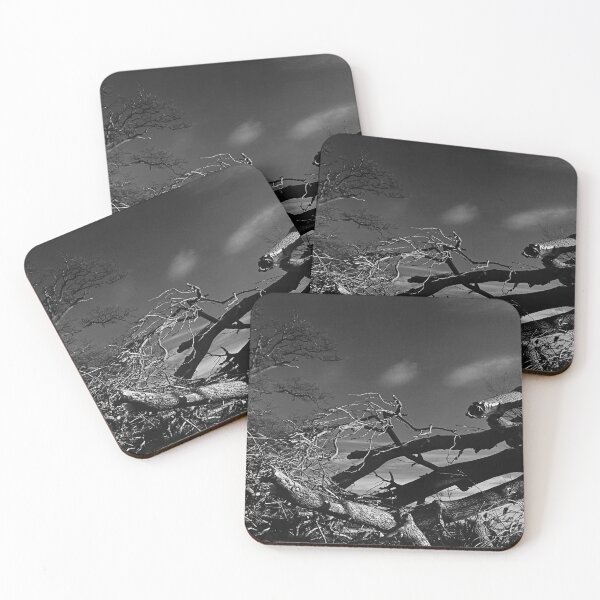 Item preview, On the road to Devizes, Wiltshire, UK designed and sold by JonDelorme.
