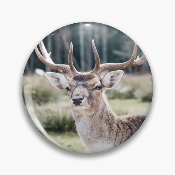 Item preview, Stag in the Mountain Forest #3 #wall #art  designed and sold by Anita's & Bella's Art.