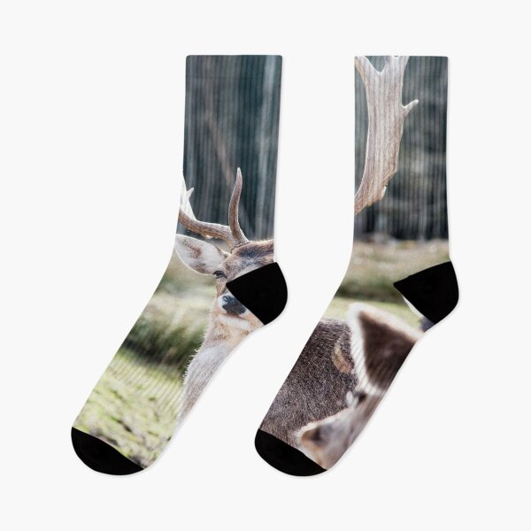Item preview, Stag in the Mountain Forest #3 #wall #art  designed and sold by Anita's & Bella's Art.