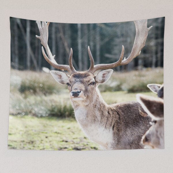 Item preview, Stag in the Mountain Forest #3 #wall #art  designed and sold by Anita's & Bella's Art.