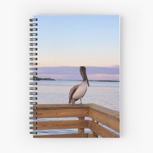 Item preview, Pelican on the dock designed and sold by Jmb67.