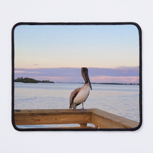 Item preview, Pelican on the dock designed and sold by Jmb67.