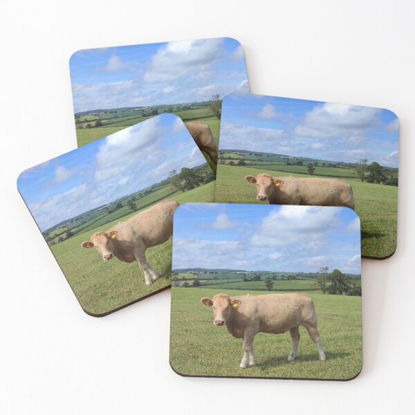 Item preview, Inquisitive Cow, by a Roman track, Somerset designed and sold by JonDelorme.