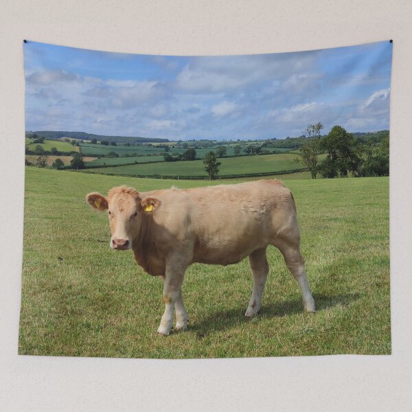 Item preview, Inquisitive Cow, by a Roman track, Somerset designed and sold by JonDelorme.