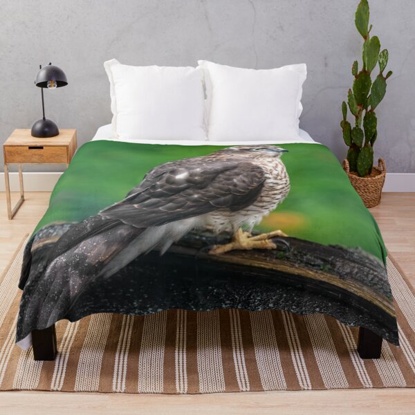 Item preview, Sparrowhawk designed and sold by AJEvans.