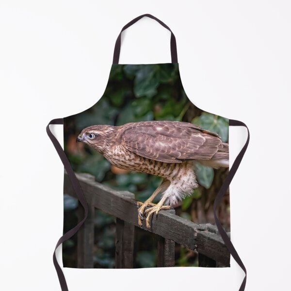 Item preview, Sparrowhawk UK designed and sold by AJEvans.
