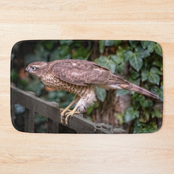Item preview, Sparrowhawk UK designed and sold by AJEvans.
