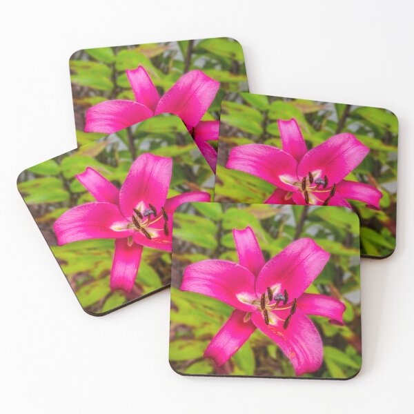 Item preview, Acapulco Lily designed and sold by AJEvans.