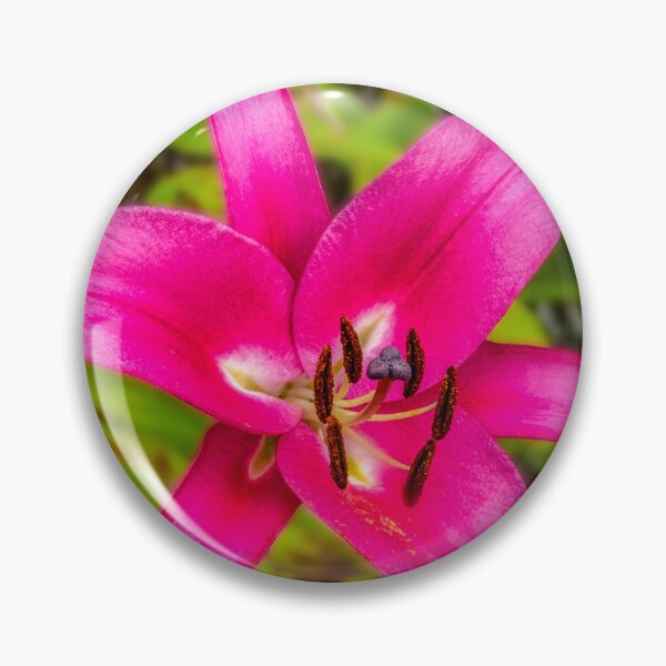 Item preview, Acapulco Lily designed and sold by AJEvans.