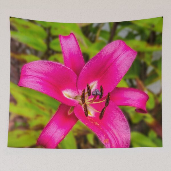 Item preview, Acapulco Lily designed and sold by AJEvans.