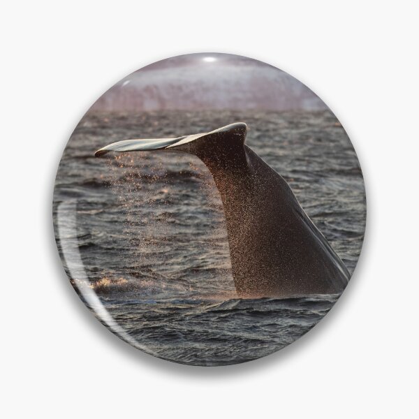 Item preview, Sperm Whale Fluke designed and sold by Kezzles.