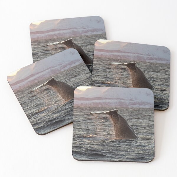 Item preview, Sperm Whale Fluke designed and sold by Kezzles.