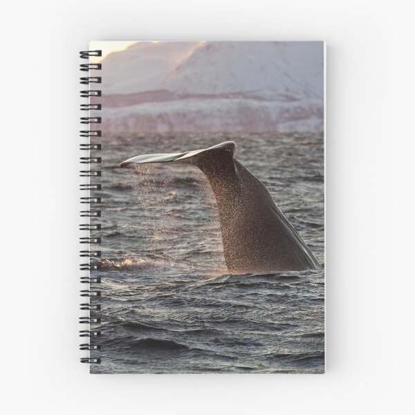 Item preview, Sperm Whale Fluke designed and sold by Kezzles.