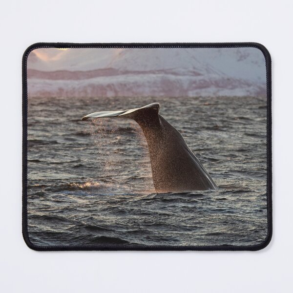 Item preview, Sperm Whale Fluke designed and sold by Kezzles.