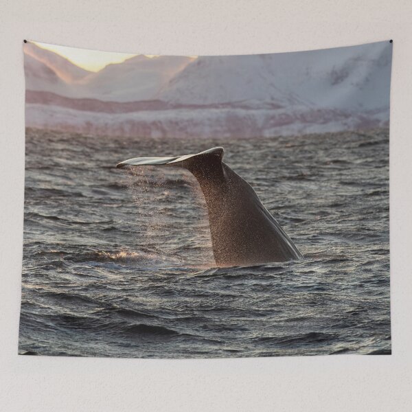 Item preview, Sperm Whale Fluke designed and sold by Kezzles.