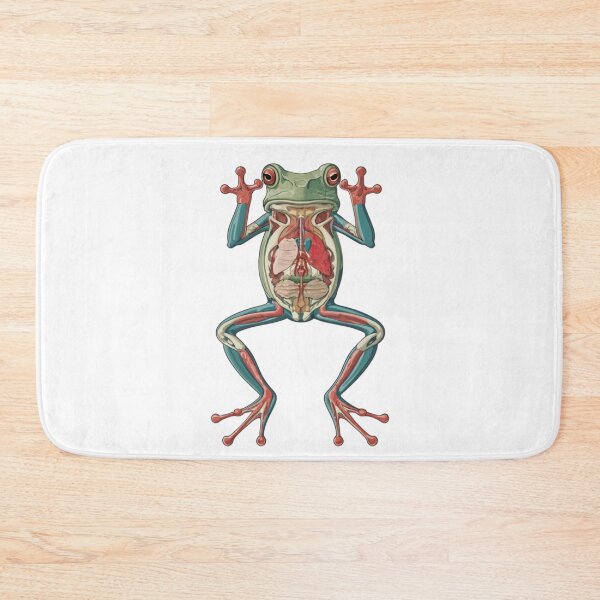 Item preview, Anatomy frog animation, cartoon designed and sold by VibeStyleShop.
