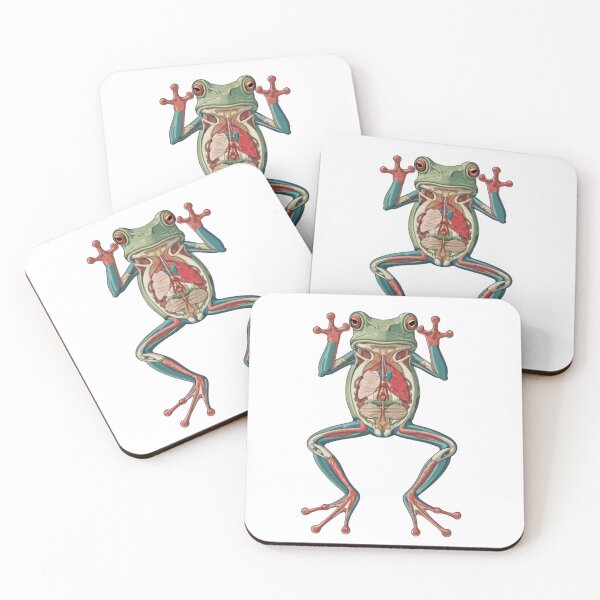Item preview, Anatomy frog animation, cartoon designed and sold by VibeStyleShop.