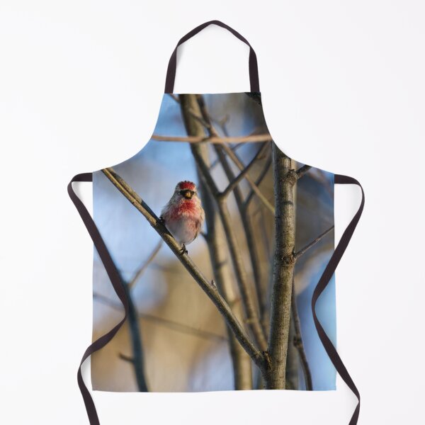 Item preview, Carmenito. Mealy redpoll designed and sold by Jouko Lehto Photography.