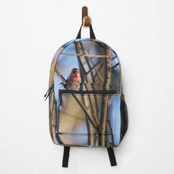 Item preview, Carmenito. Mealy redpoll designed and sold by Jouko Lehto Photography.