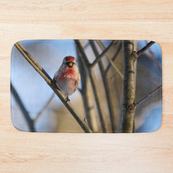 Item preview, Carmenito. Mealy redpoll designed and sold by Jouko Lehto Photography.