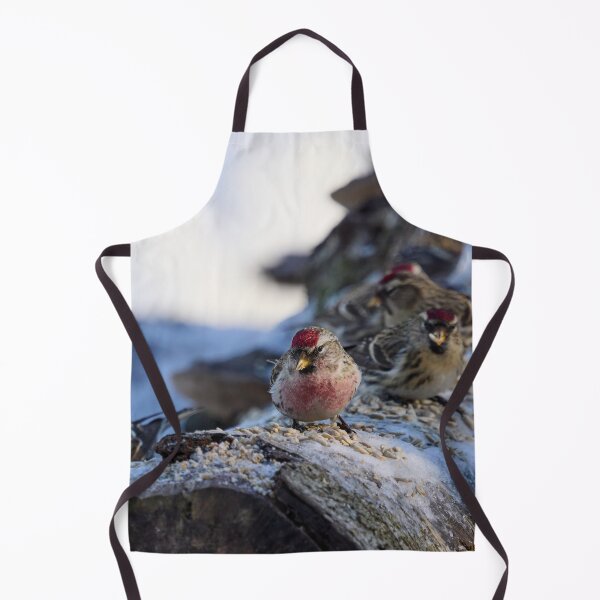Item preview, All my friends are here too. Mealy redpoll designed and sold by Jouko Lehto Photography.