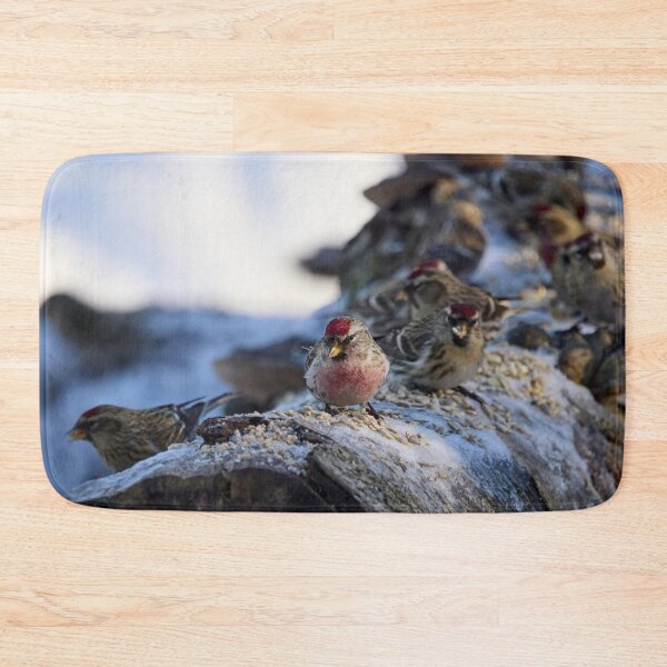 Item preview, All my friends are here too. Mealy redpoll designed and sold by Jouko Lehto Photography.