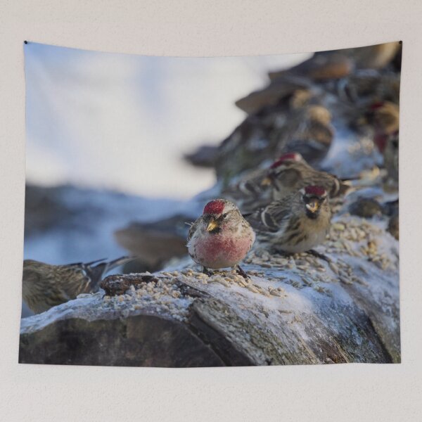 Item preview, All my friends are here too. Mealy redpoll designed and sold by Jouko Lehto Photography.