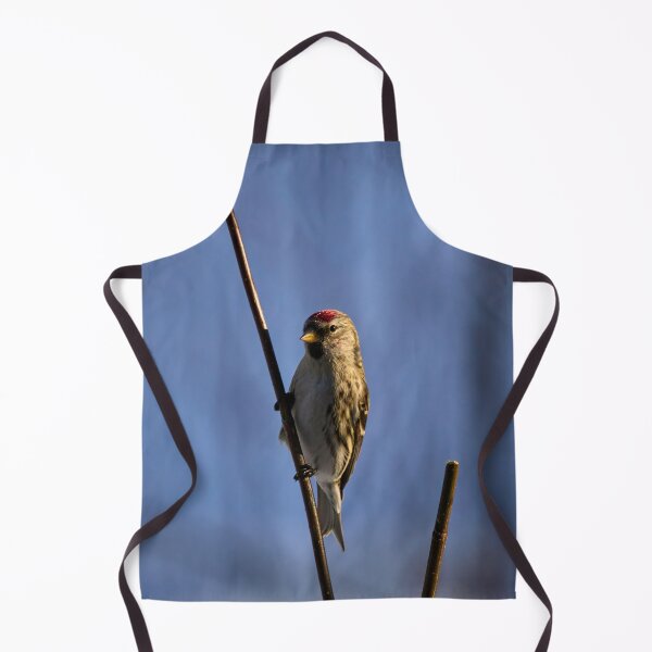 Item preview, Holding the poisture. Mealy redpoll designed and sold by Jouko Lehto Photography.
