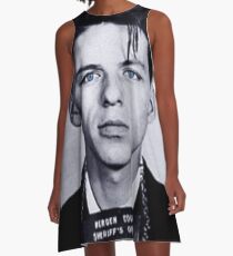 Busted A-Line Dress