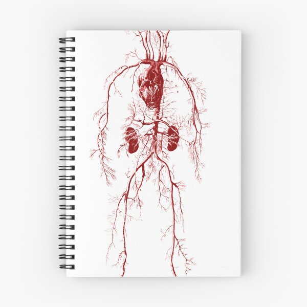 Item preview, Cardiovascular system designed and sold by Pegasene.