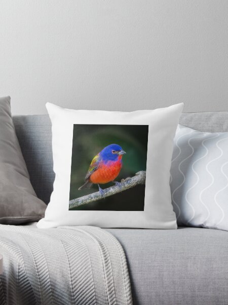 Family Dollar Pillows Cushions for Sale Redbubble