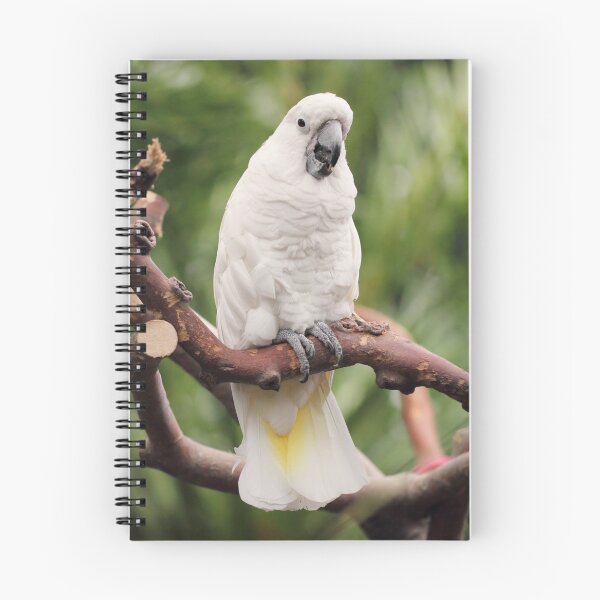 Item preview, Citron Crested Cockatoo designed and sold by Tracy Friesen.