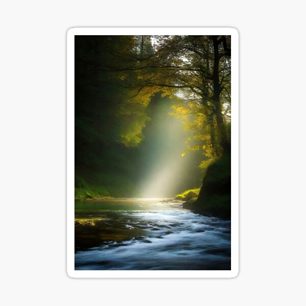 Sunlight is beaming through trees along a river with rapids, curving through Sticker