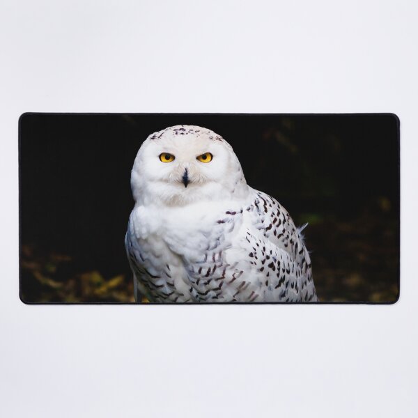 Item preview, Majestic winter snowy owl designed and sold by Patrik Lovrin.