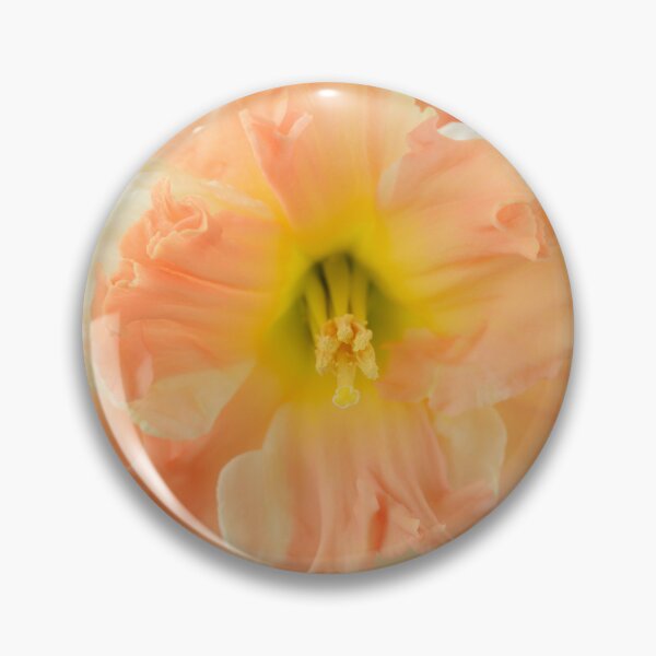 Item preview, Narciso 'Melocotón Vainilla' Narciso División 11a Corona dividida designed and sold by Chris Burrows.