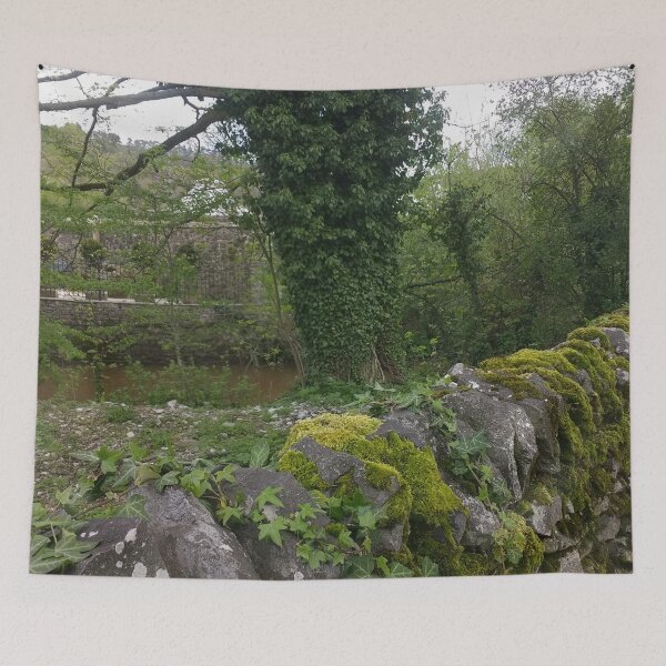 Item preview, #323 |☼| Ivy Trees And Mossy Rocks (Bakewell) designed and sold by Naean H.F. (Nez Man).
