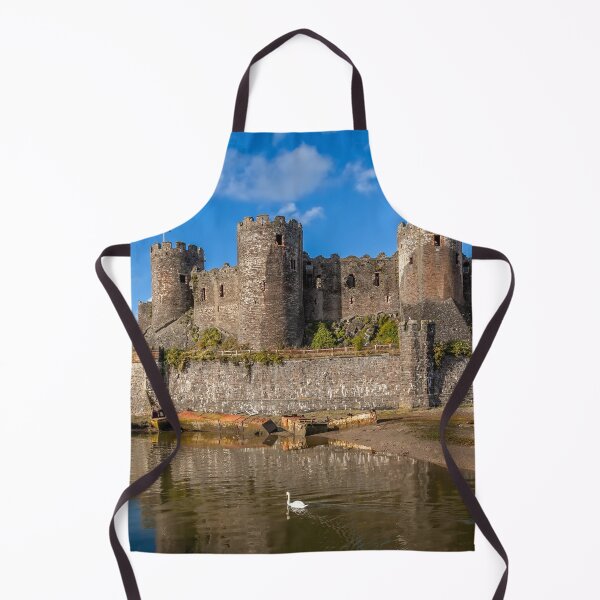 Item preview, Conwy Castle And Swan designed and sold by AJEvans.