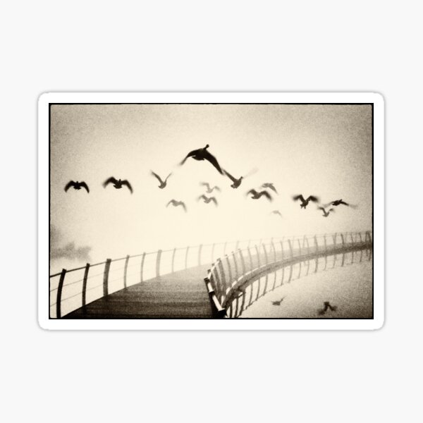 Wild geese Sticker