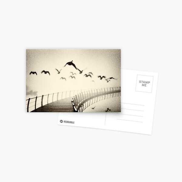 Wild geese Postcard