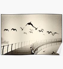 Wild geese Poster