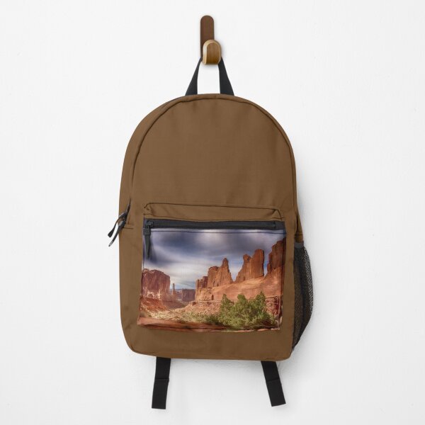 Artikelvorschau, Park Avenue – Arches-Nationalpark – Utah entworfen und verkauft von Kathy Weaver.