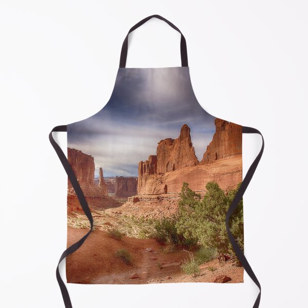 Artikelvorschau, Park Avenue – Arches-Nationalpark – Utah entworfen und verkauft von Kathy Weaver.