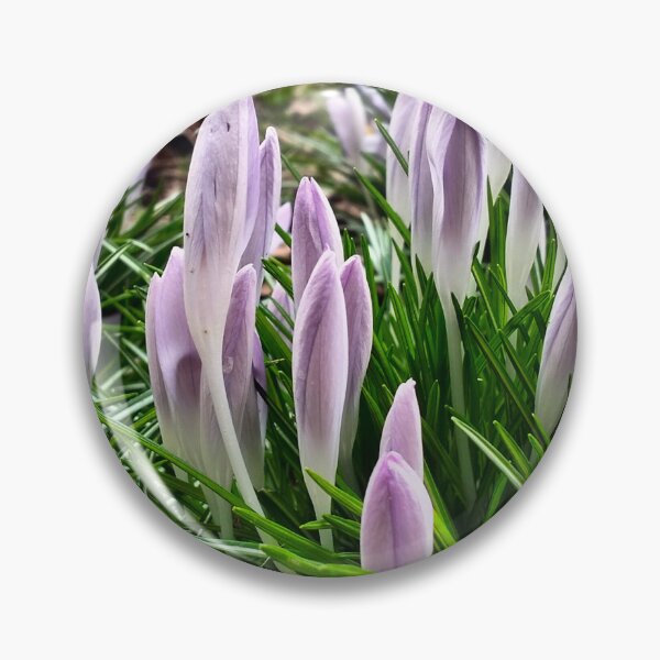 Item preview, Early spring in Poland - violet crocuses designed and sold by lusiakotowska.