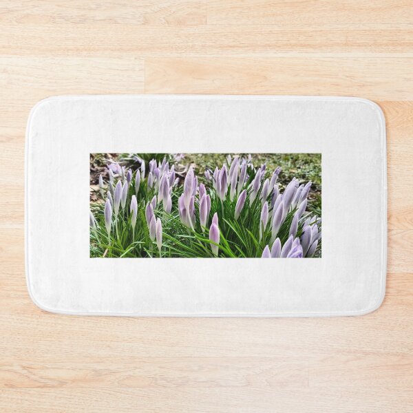 Artikelvorschau, Vorfrühling in Polen - violette Krokusse entworfen und verkauft von lusiakotowska.